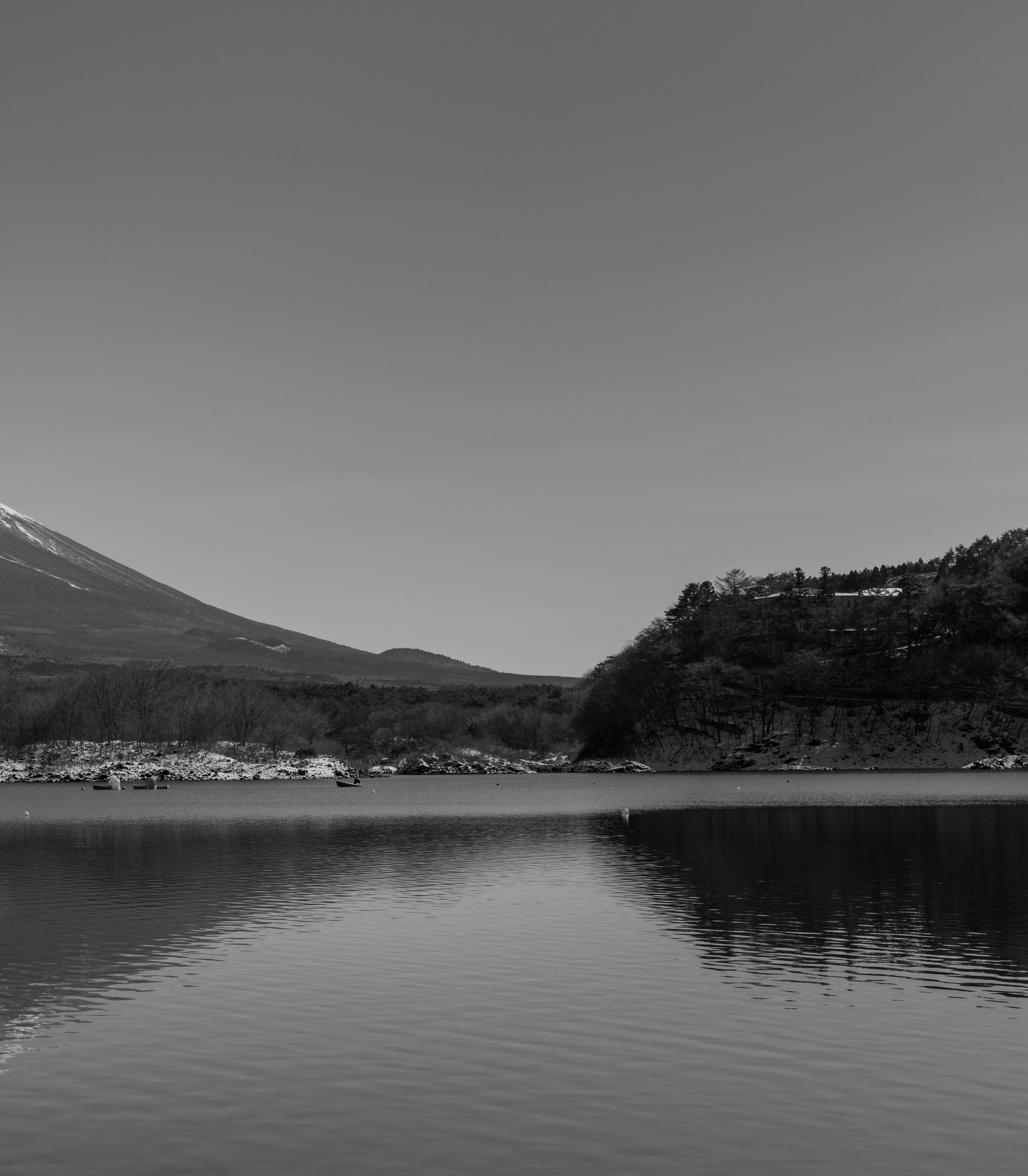 静かな水辺の風景